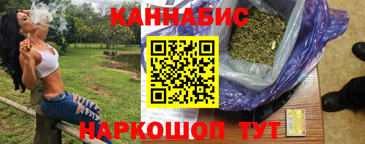 Канабис планчик Тавда